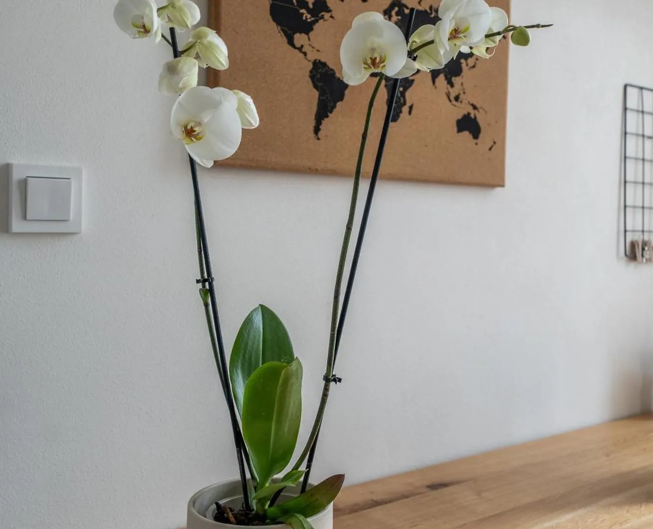 Designer Apartment With River View Praha 0*,